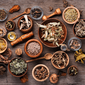 Ervas medicinais e ativos naturais que compõem a fórmula do Destravador